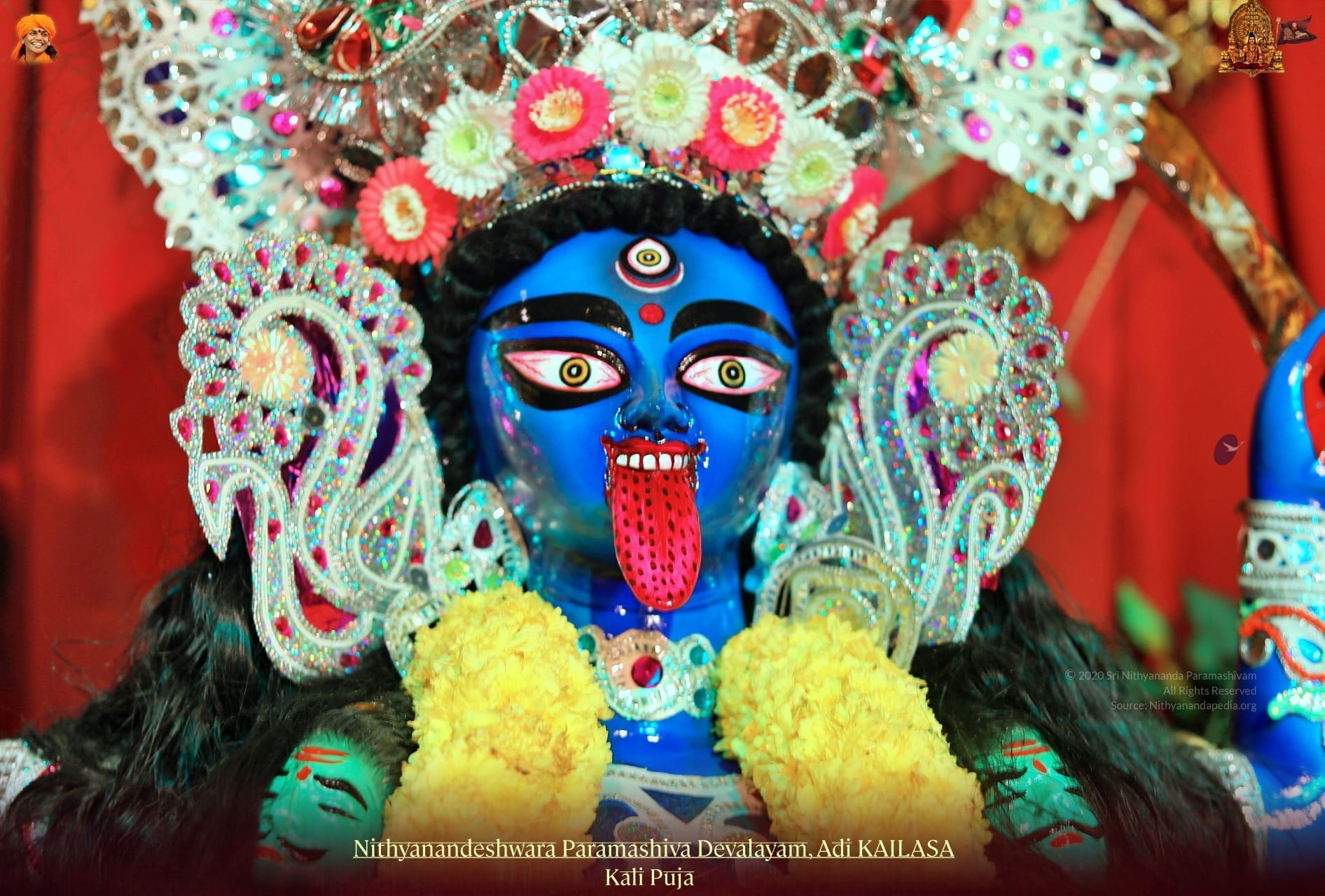 Parashakti Mahakali Appears to the Universe